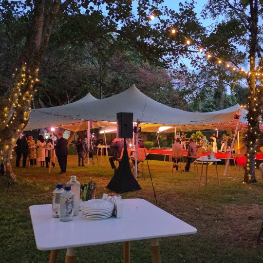 Diplomatic event planning